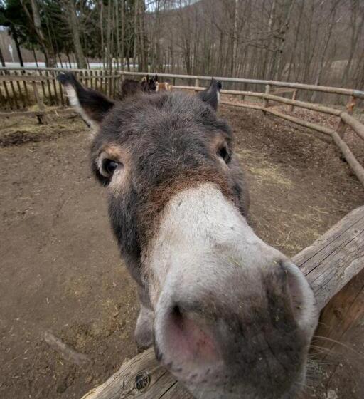 هاستل Holiday Park Hajducka Cesma