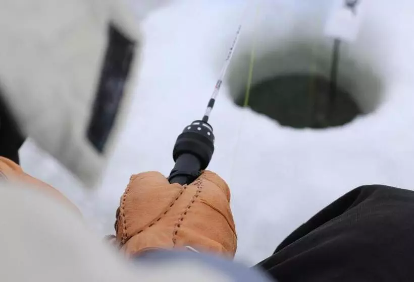 Aamiaismajoitus (B&B) Aaron S On The Lake