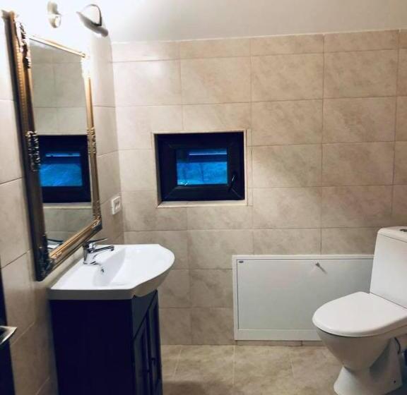 مبيت وإفطار Popasul Din Pietrar