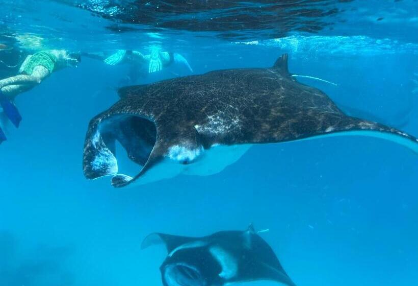 هتل Chak’z 1964 Beach