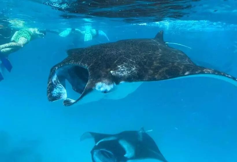 هتل Chak’z 1964 Beach