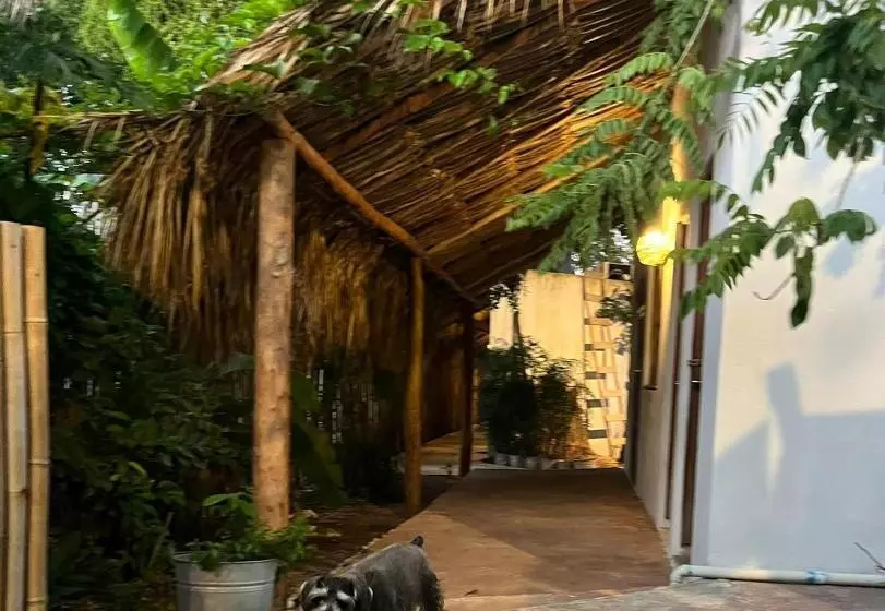 هتل Muy Bacalar