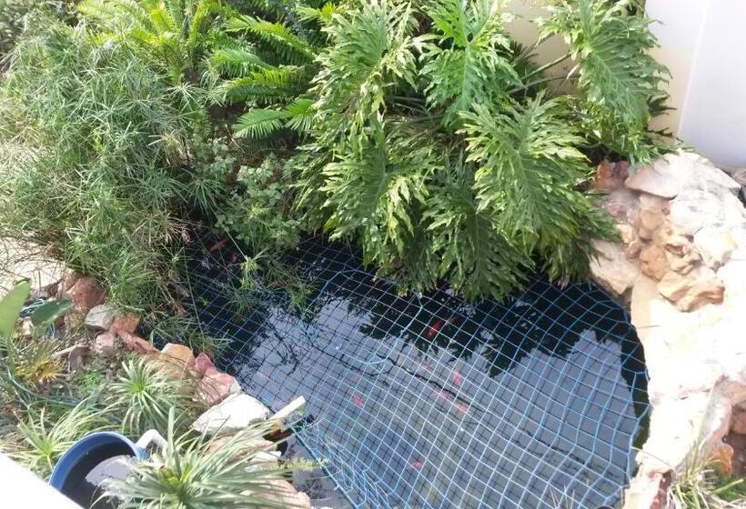 بنسيون Coega Harbour View Guesthouse