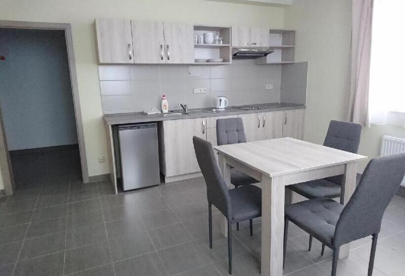 膳宿费 Penzion Ostrov