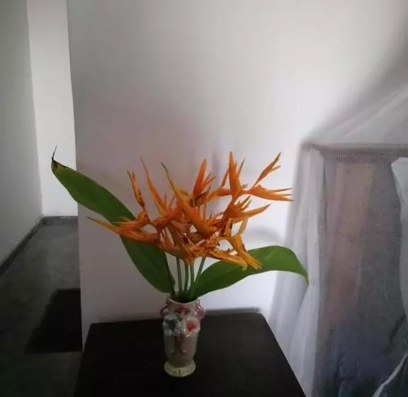 Majatalo Sea Garden Beach Resort