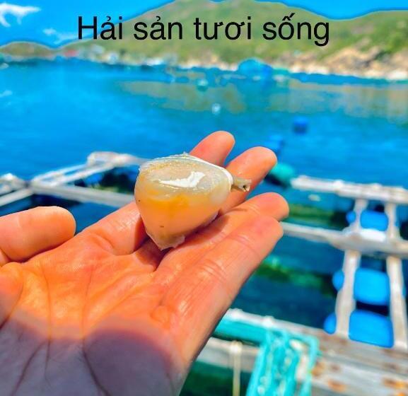 هتل Homestay Biển đảo Bình Ba