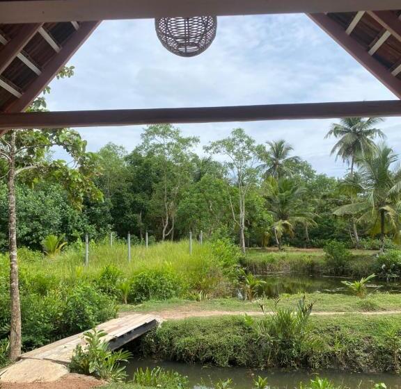 Hotel Summer Bell Midigama