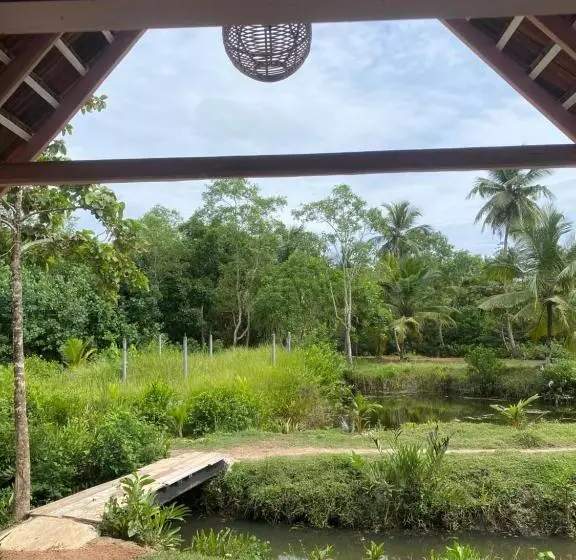Hotelli Summer Bell Midigama