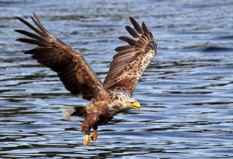 Пансион Angelas Fjord Suite