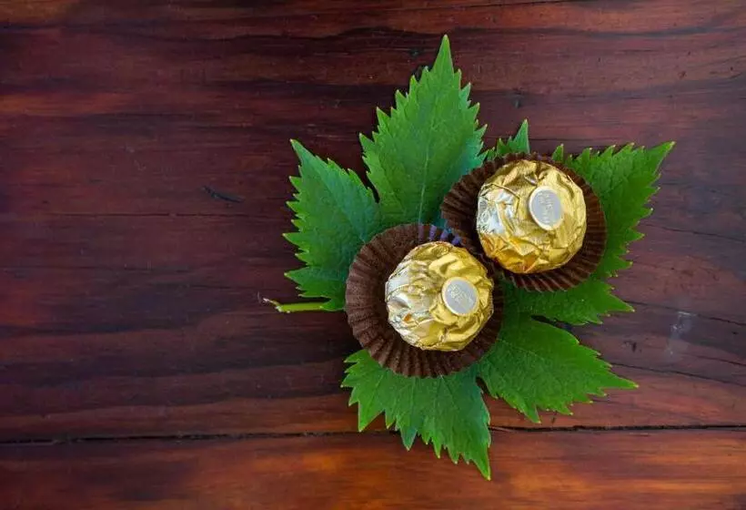 Majatalo Devon Castle Orchard Cottage