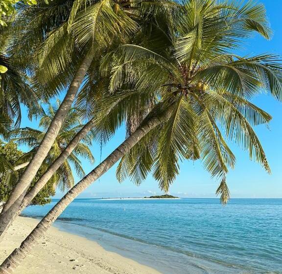 پانسیون Ever Blue Guest House