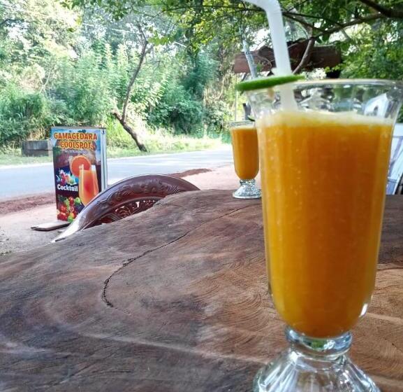 펜션 Gamagedara Nature Villa