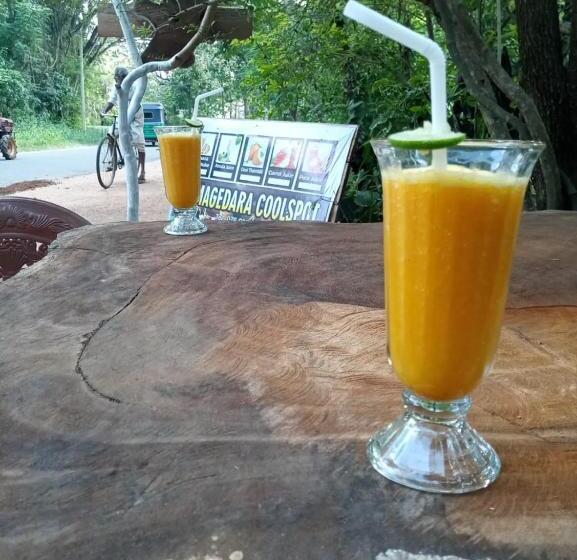 Pension Gamagedara Nature Villa