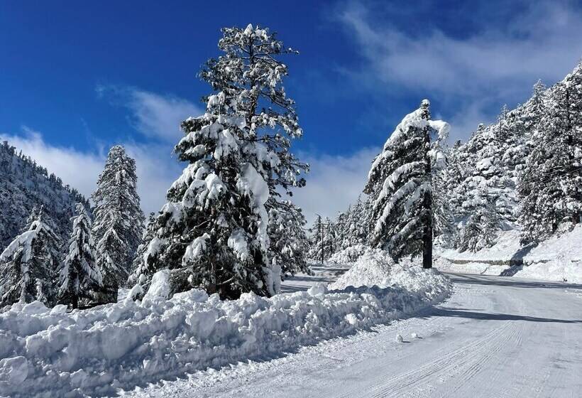 ペンション Tao House 03