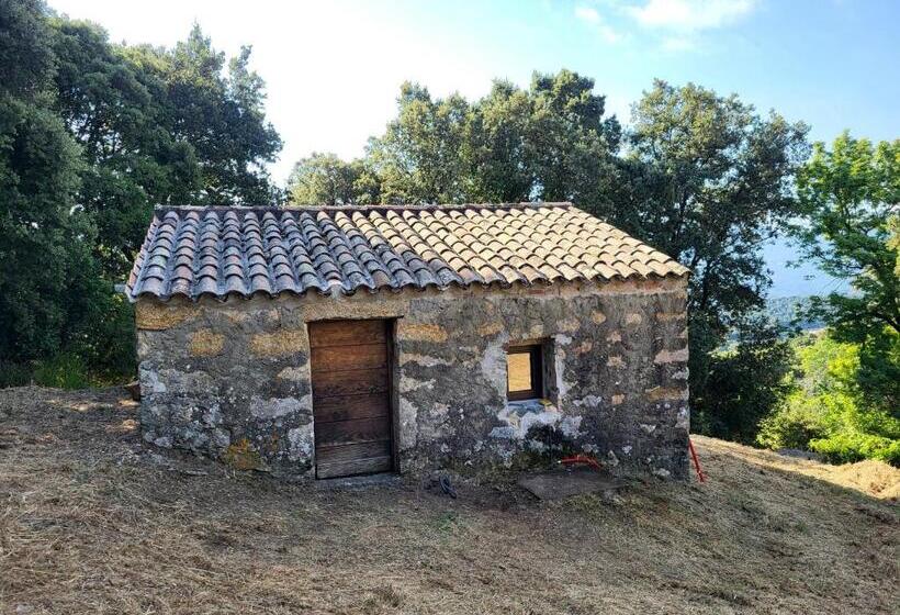 호텔 L Anghjuledda 2