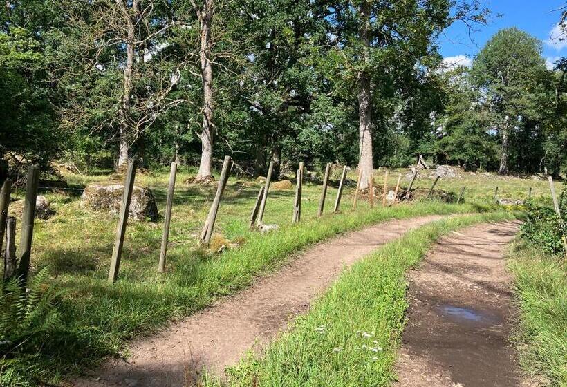 Lidhem Herrgård. Bed & Breakfast Och Mindre Lägenheter