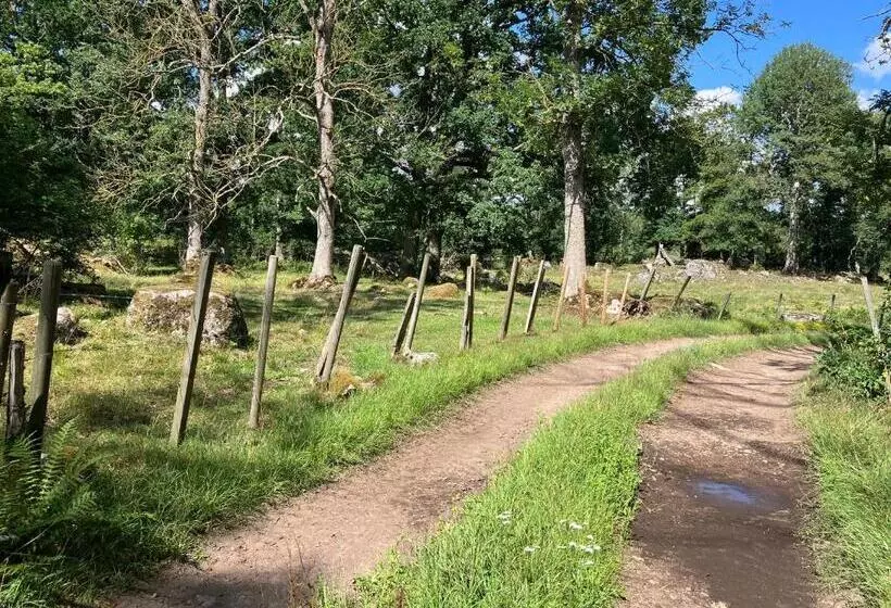 Lidhem Herrgård. Bed & Breakfast Och Mindre Lägenheter