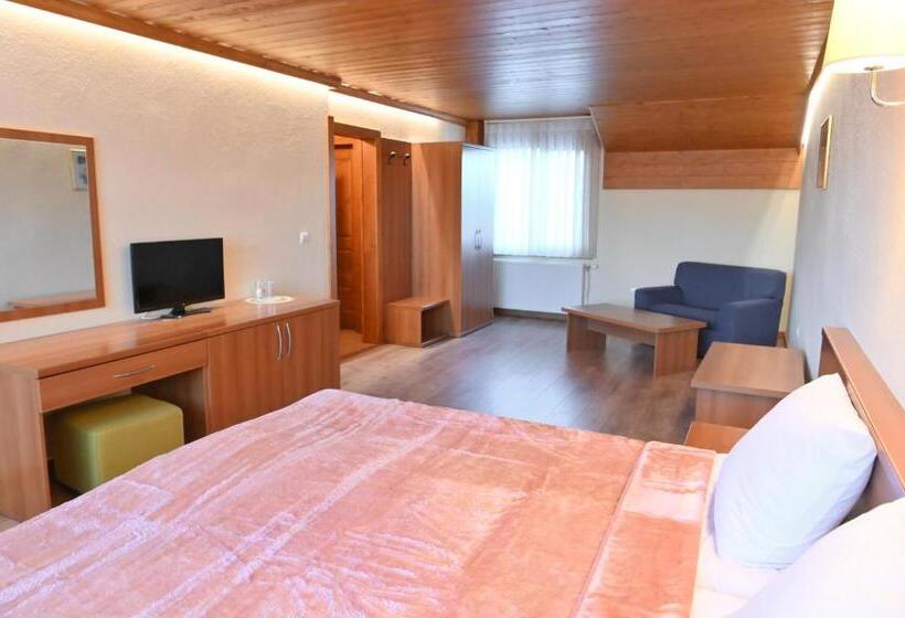 Пансион къща за гости гранит