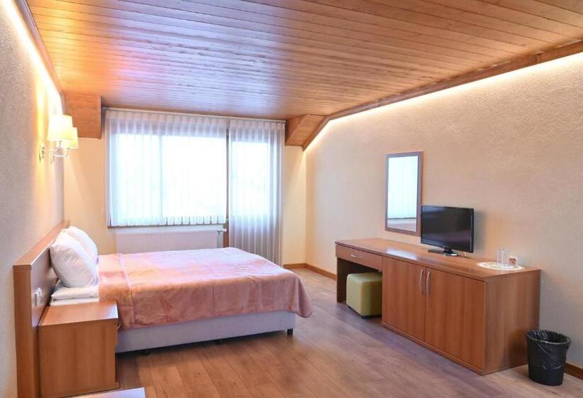 Пансион къща за гости гранит