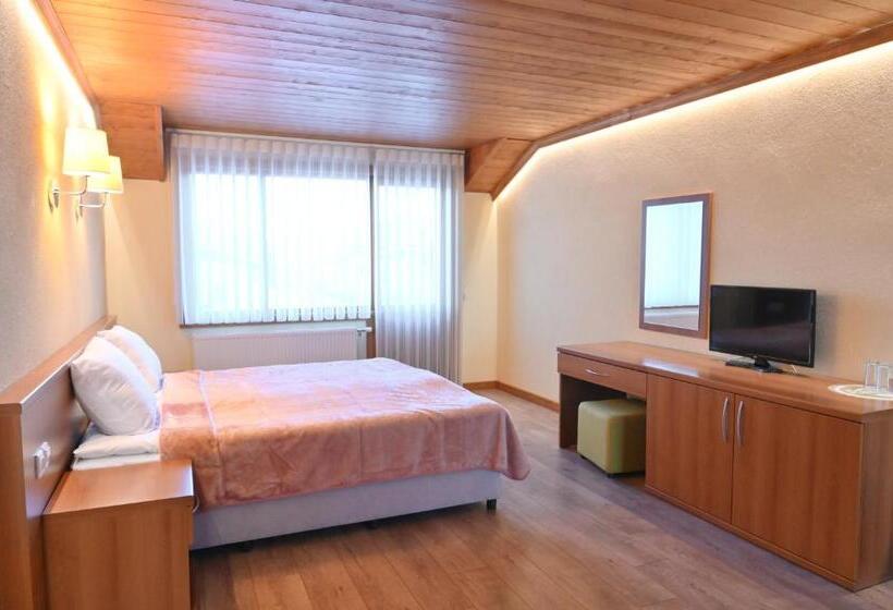 Пансион къща за гости гранит