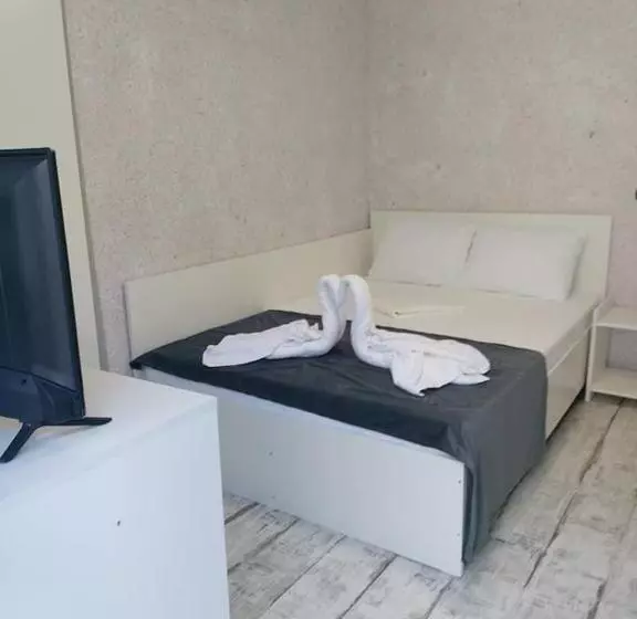 ペンション Casa Bucuriei