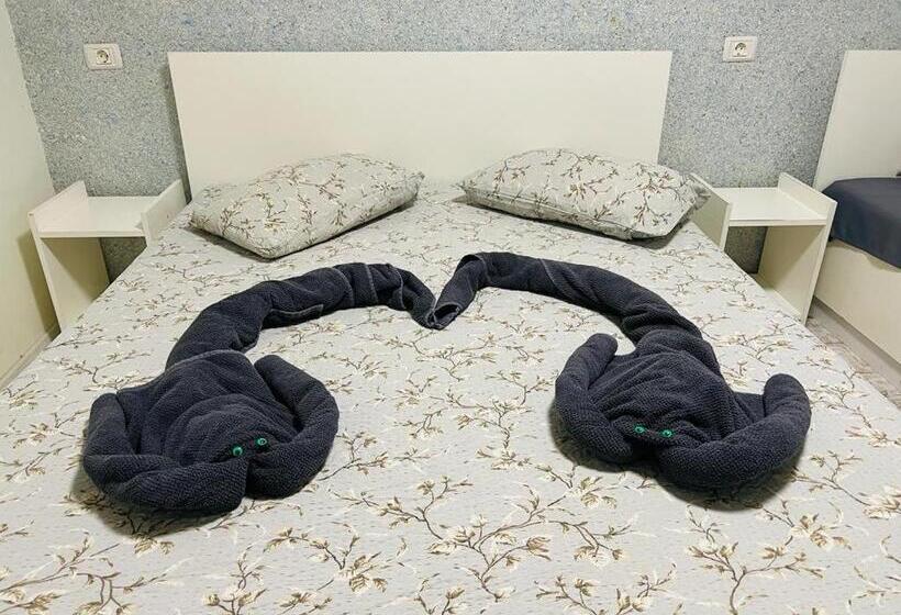 پانسیون Casa Bucuriei