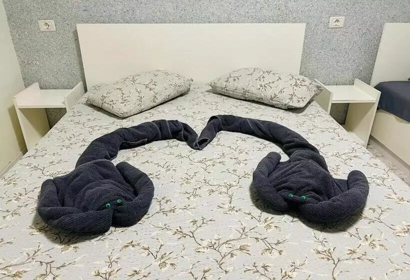 ペンション Casa Bucuriei