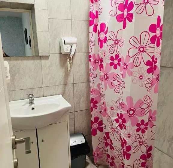 ペンション Casa Bucuriei