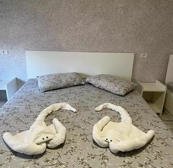 ペンション Casa Bucuriei