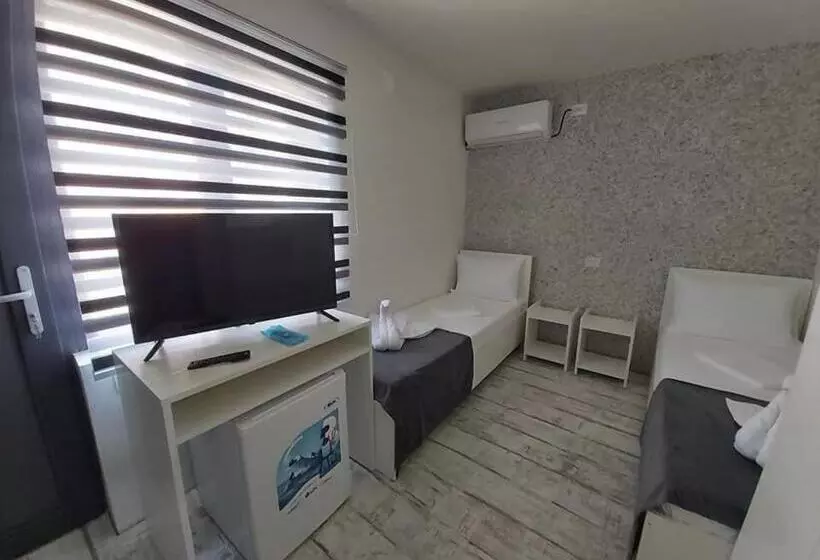 ペンション Casa Bucuriei