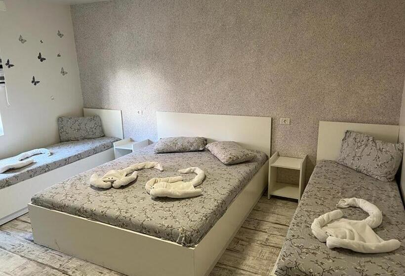 پانسیون Casa Bucuriei