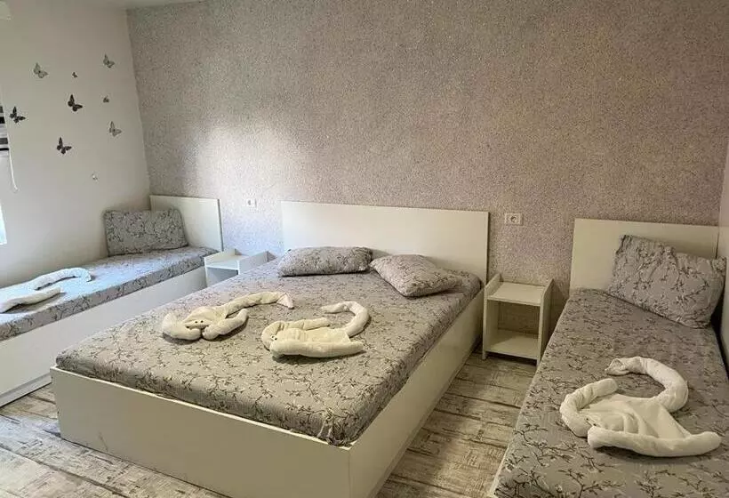 ペンション Casa Bucuriei