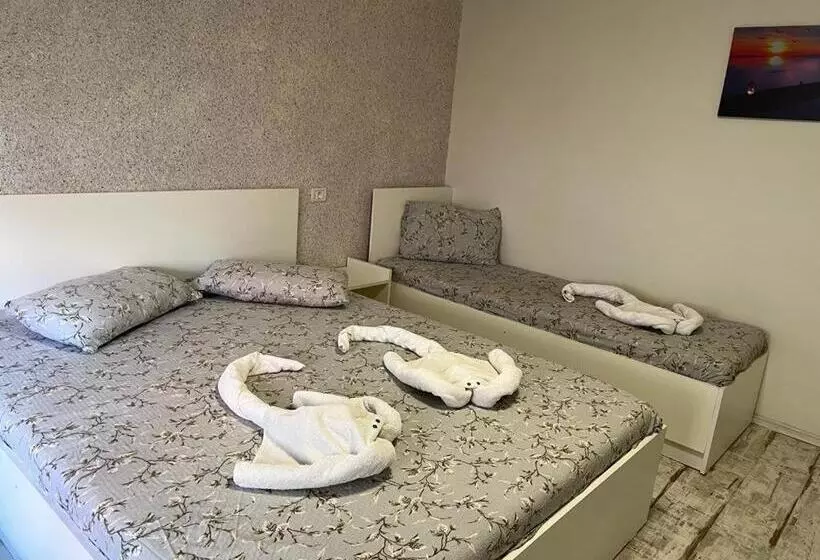 ペンション Casa Bucuriei