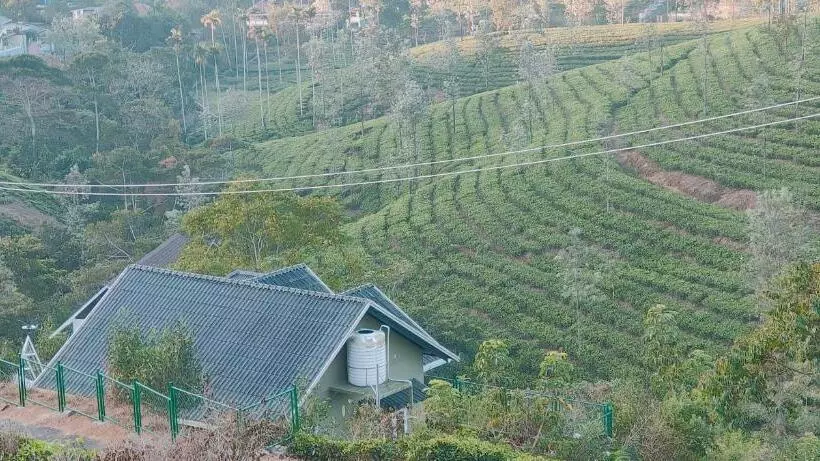 Pension  Greenlush 2