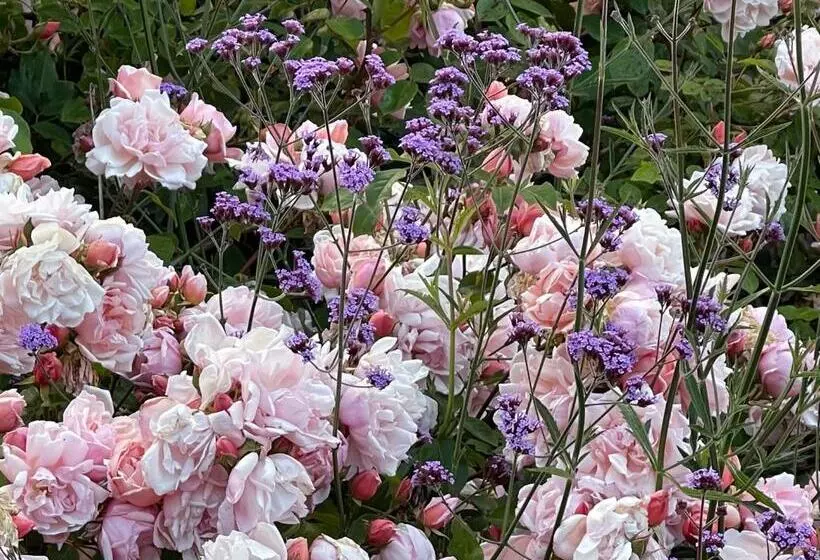 Majatalo The Hill House Panorama