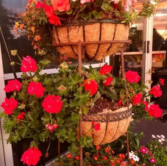 Majatalo The Hill House Panorama