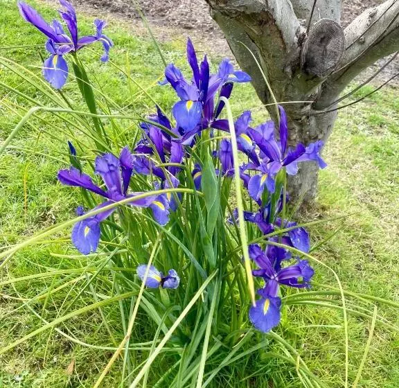 Majatalo The Hill House Panorama