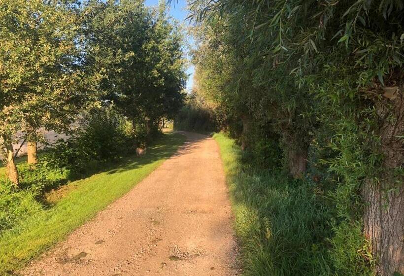 ベッドアンドブレックファースト Het Zwaluwnest