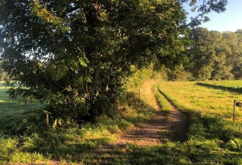 ベッドアンドブレックファースト Het Zwaluwnest