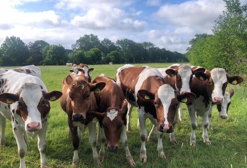 ベッドアンドブレックファースト Het Zwaluwnest