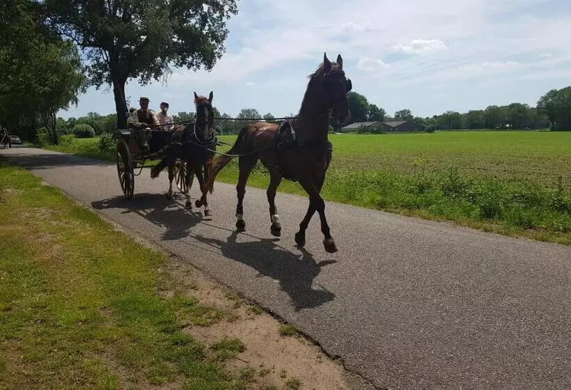 Aamiaismajoitus (B&B) Huisjeaandedinkel