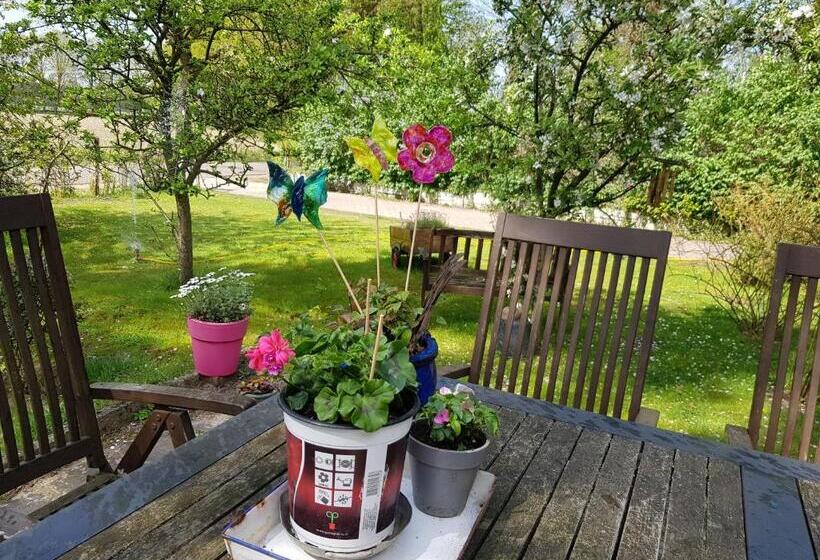 צימר Huisjeaandedinkel