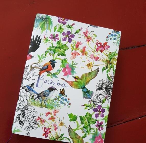 צימר Huisjeaandedinkel