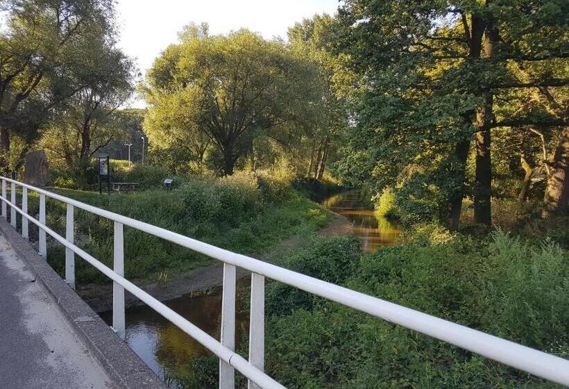 צימר Huisjeaandedinkel