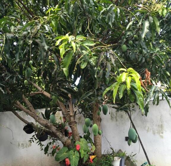 مبيت وإفطار Moon Deck Villa