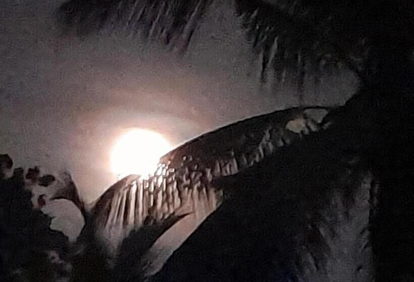 مبيت وإفطار Moon Deck Villa