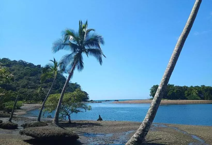 Majatalo Cabinas Casa Jungla
