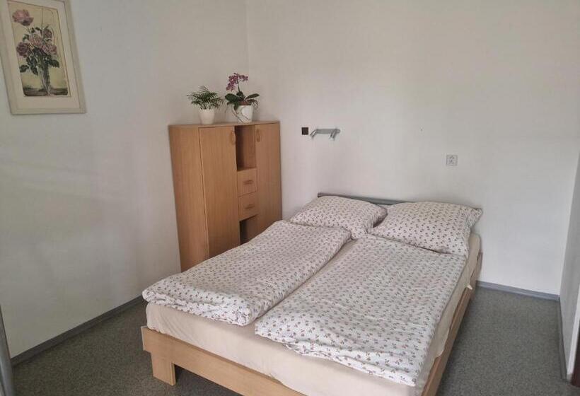 פנסיון Penzión Koliesko