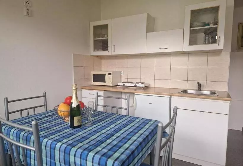 Majatalo Penzión Koliesko