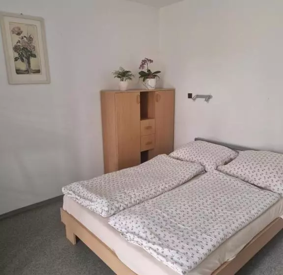 Majatalo Penzión Koliesko